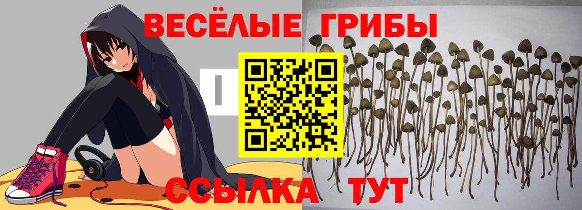 Псилоцибиновые грибы GOLDEN TEACHER  Вход с VPN  Снежинск 